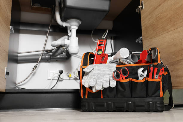 Best Clogged Drain Plumber  in Sarasota Springs, FL